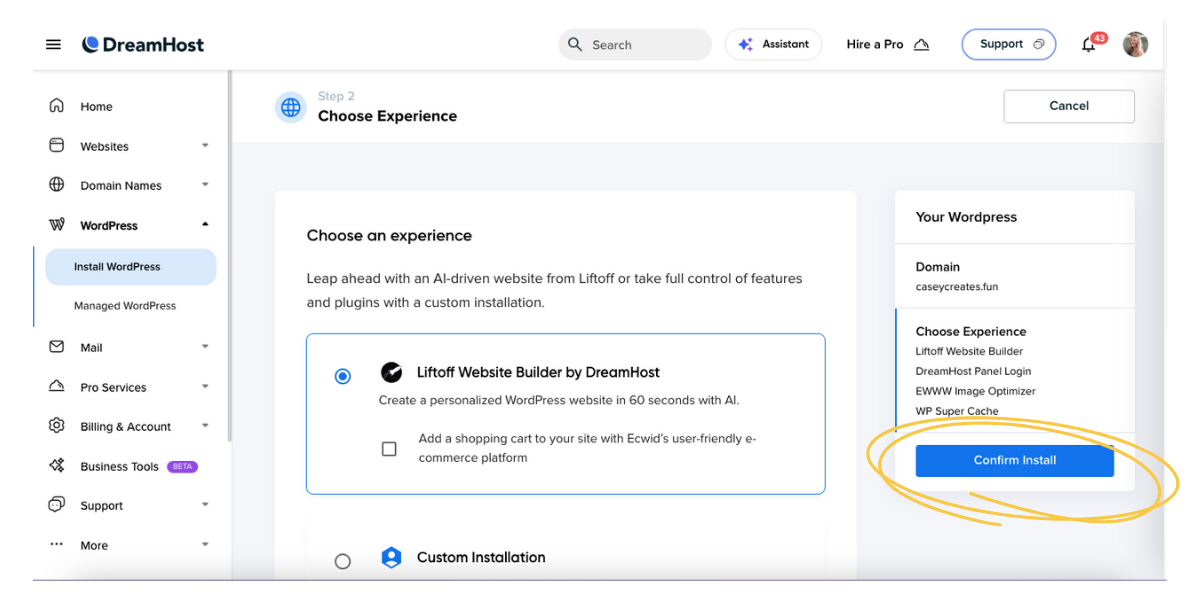 Screenshot showing "confirm install" button circled