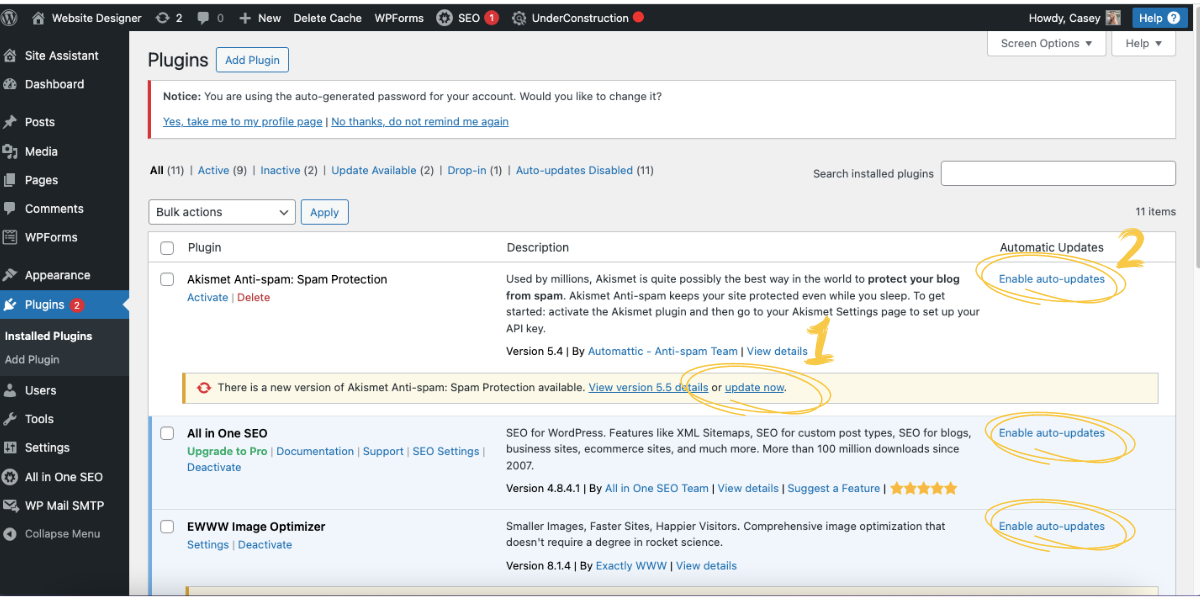 Screenshot showing WordPress Plugins