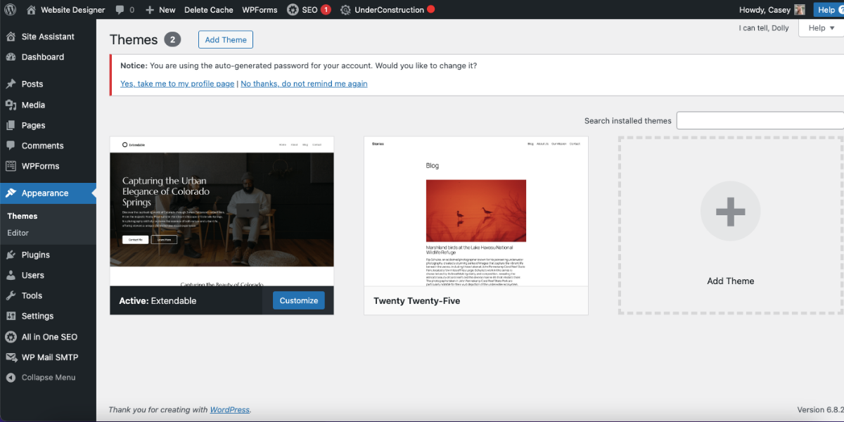 Screenshot of WordPress theme page showing only two themes